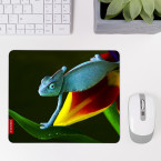 Mousepad Chamäleon