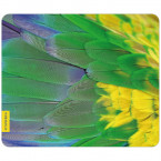 Mousepad Papagei-Gefieder 2