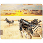 Mousepad Zebras