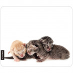 Mousepad Katzenbabys
