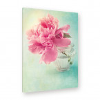 Leinwandbild - Flower - Pink peony - serenity