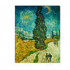 Landstraße mit Zypresse und Stern von Van Gogh