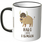 halo i bims 1 bimson tasse