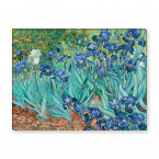 van gogh iris gemälde