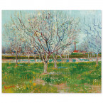 Poster Vincent van Gogh - Blühender Obstgarten