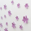 Wandtattoo 3D - Blumen flieder