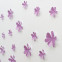Wandtattoo 3D - Blumen flieder