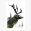 forest deer poster hirschkopf wald