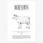 Poster Beef Cuts