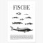 Poster Fische