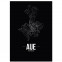 Stadtposter Aue Rahmen Black