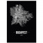 Stadtposter Budapest Straßenplan