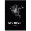 Poster Kischinau Stadtplan