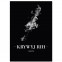 Krywyj Rih Poster Stadtplan