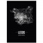 Poster Leeds Bilderrahmen