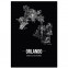 Stadtposter Orlando mit Bilderrahmen