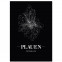 Plauen Poster mit Rahmen