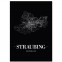 Stadtposter Straubing mit Rahmen