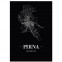 Stadtposter Pirna - black