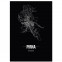 Stadtposter Pirna - black