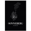 Stadtposter Sonneberg - black