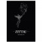 Stadtposter Zittau Black