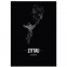 Stadtposter Zittau Black
