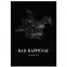 Stadtposter Bad Rappenau