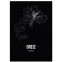 Stadtposter Greiz Black