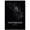 Stadtposter Neustrelitz Black