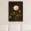 Barbara Regina Deitzsch - Essig-Rose mit Hummel