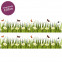 Bordüre Gras mit Gänseblümchen Transparent - 2 m