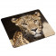 Mousepad Leopard