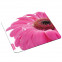 Mousepad Gerbera