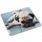 Mousepad Mops