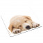 Mousepad Schlafender Welpe