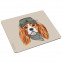 Mousepad cooler Cavalier