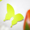Wandtattoo 3D - Schmetterlinge neon gelb