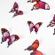 Wandtattoo 3D - Schmetterlinge - Pinktöne