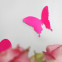 Wandtattoo 3D - Schmetterlinge neon pink