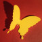 Wandtattoo 3D - Schmetterlinge gelb