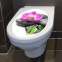 WC Aufkleber Orchidee